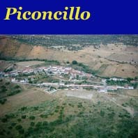 PICONCILLO